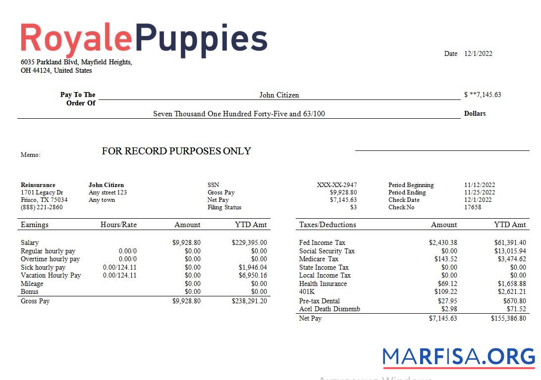 Blank Veterinary medicine company earning statement template